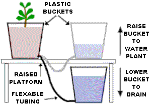 free2_cannabis.gif (9187 bytes)