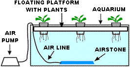 free4_cannabis.gif (4900 bytes)